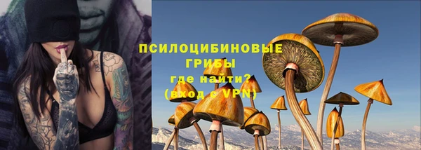 ГАЛЛЮЦИНОГЕННЫЕ ГРИБЫ Баксан