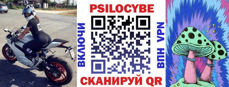 Купить Нурлат Галлюциногенные грибы Psilocybine cubensis